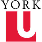 York University